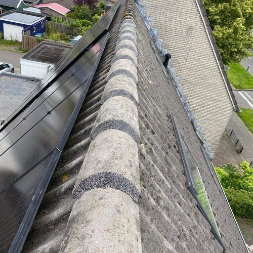 Nokvorsten Limmen hersteld Nokvorsten zijn opnieuw vastgezet